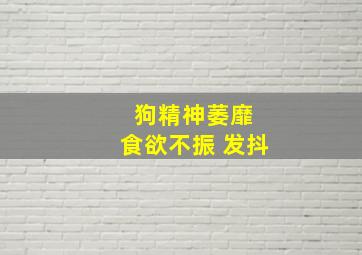 狗精神萎靡 食欲不振 发抖